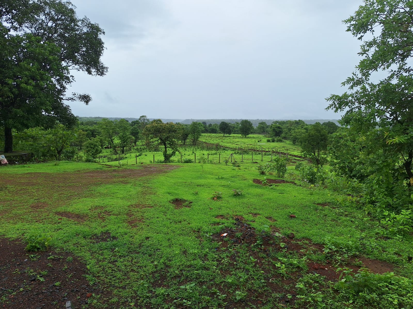 WhatsApp Image 2025-06-15 at 11.30.35 AM