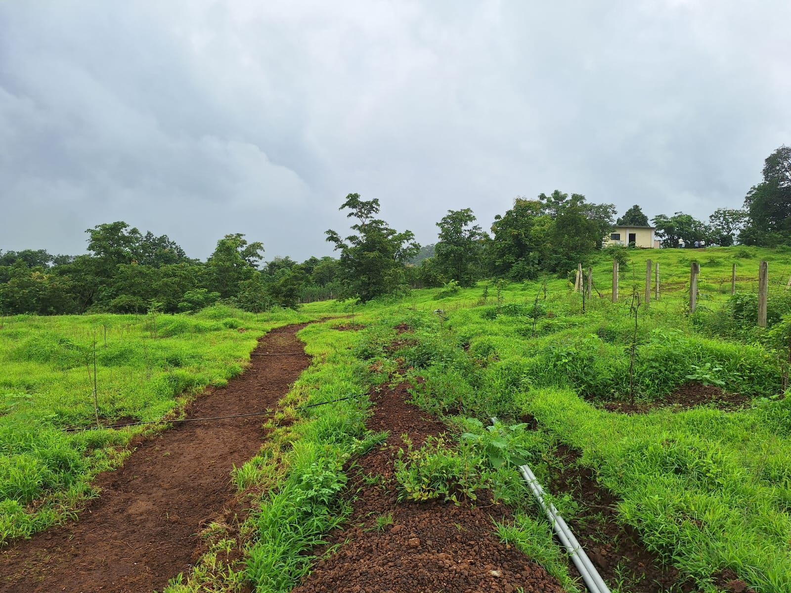 WhatsApp Image 2025-08-17 at 11.36.16 AM