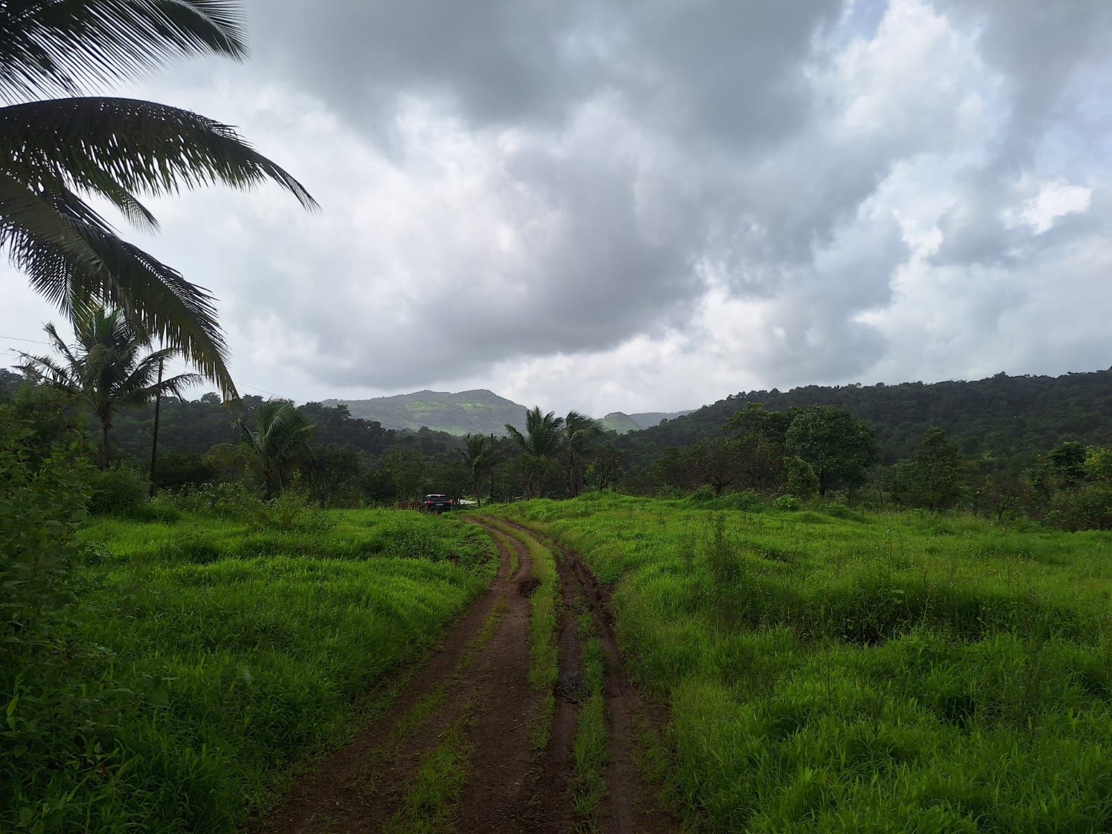 WhatsApp Image 2025-09-04 at 3.43.24 PM